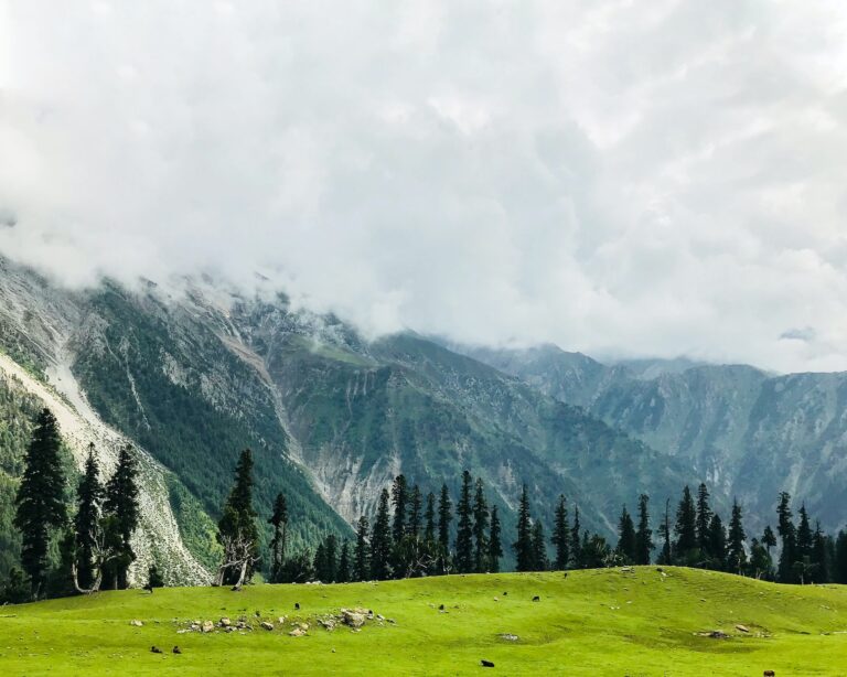 bhavesh-sawant-0Qwks3FIeQc-unsplash