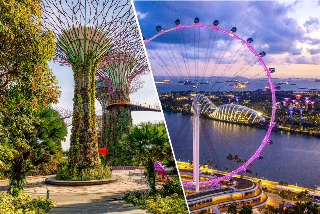 Singapore Dreams & Universal Screams!