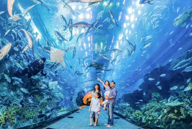 Golden Sands & City Lights